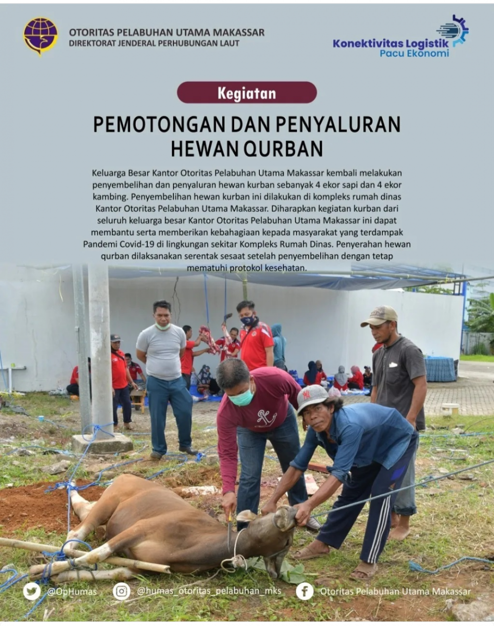 Makassar, 21 Juli 2021 Keluarga Besar Kantor Otoritas Pelabuhan Utama Makassar kembali melakukan penyembelihan dan penyaluran hewan kurban sebanyak 4 ekor sapi dan 4 ekor kambing. Penyembelihan hewan kurban ini dilakukan di kompleks rumah dinas Kantor Ot
