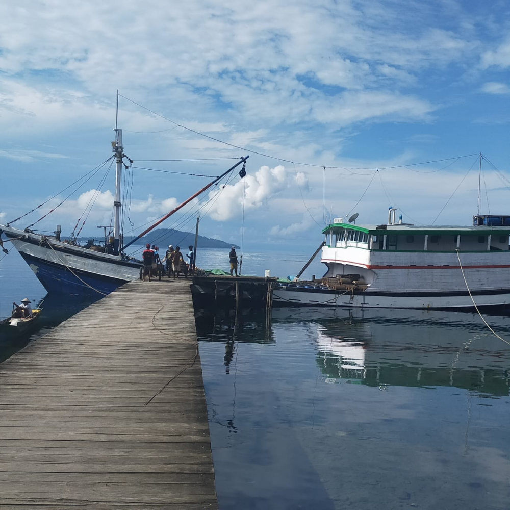BONGKAR MUAT BARANG MAUPUN PENUMPANG DI PASIPALELE GUNAKAN DERMAGA KAYU SEADANYA