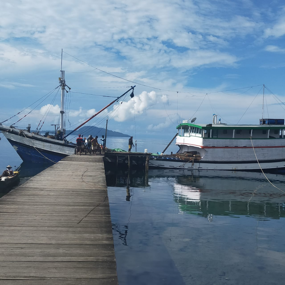 BONGKAR MUAT BARANG MAUPUN PENUMPANG DI PASIPALELE GUNAKAN DERMAGA KAYU SEADANYA
