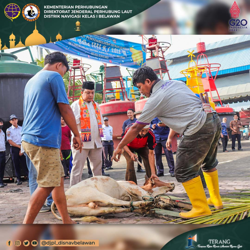 Pelaksanaan Penyembelihan Hewan Qurban Idul Adha 1443 H / 2022 M dI Lingkungan Distrik Navigasi Kelas I Belawan