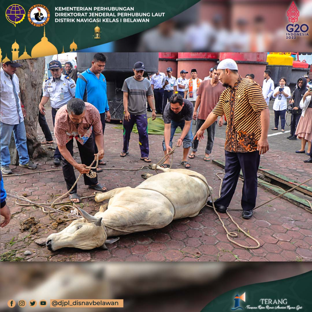 Pelaksanaan Penyembelihan Hewan Qurban Idul Adha 1443 H / 2022 M dI Lingkungan Distrik Navigasi Kelas I Belawan
