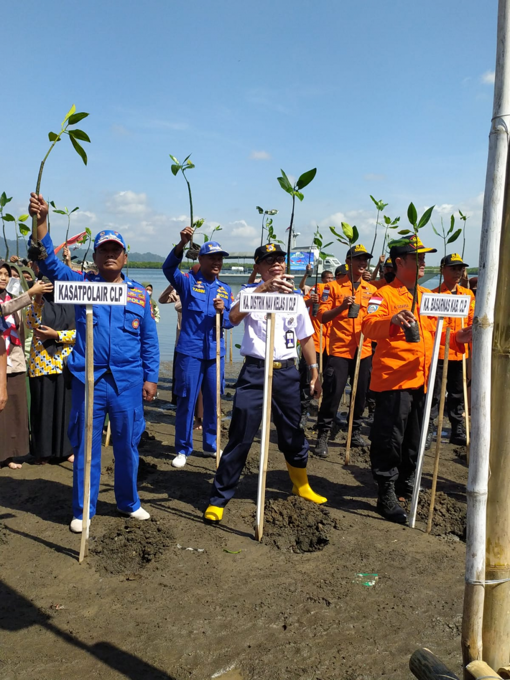 Pangkalan TNI AL Cilacap Peringati Hari Mangrove Sedunia
