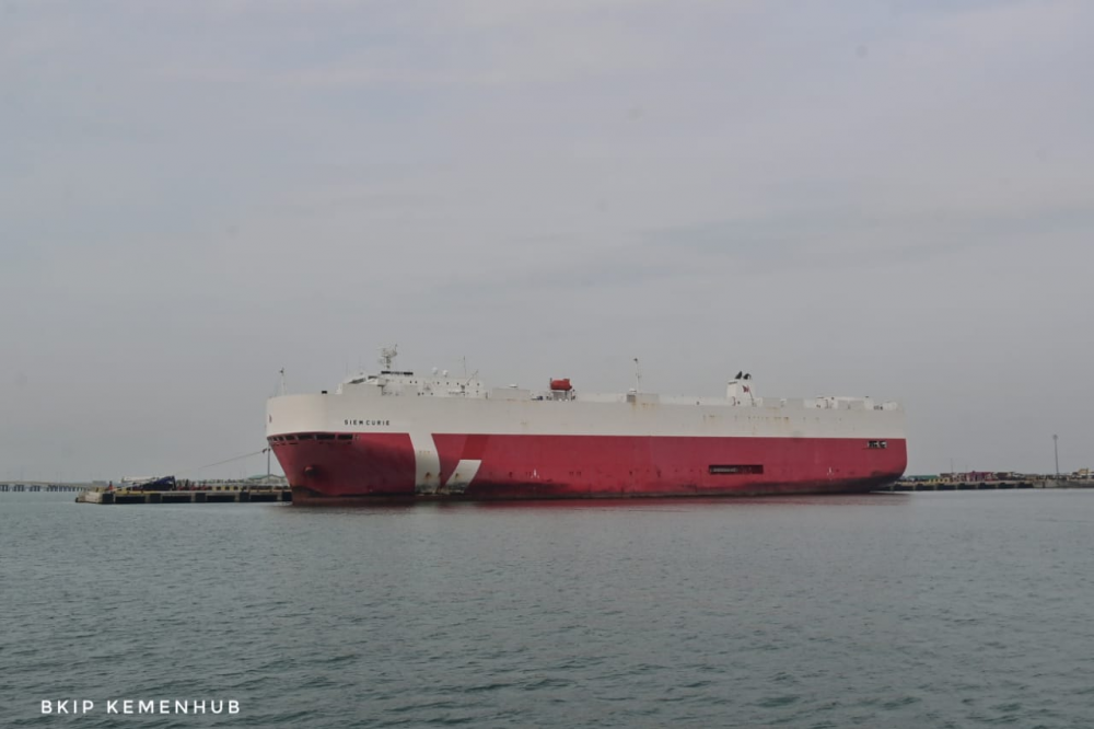 Menhub Tawari Maersk Line dan Pelaku Usaha Denmark Lainnya Ikut Kembangkan Pelabuhan Patimban