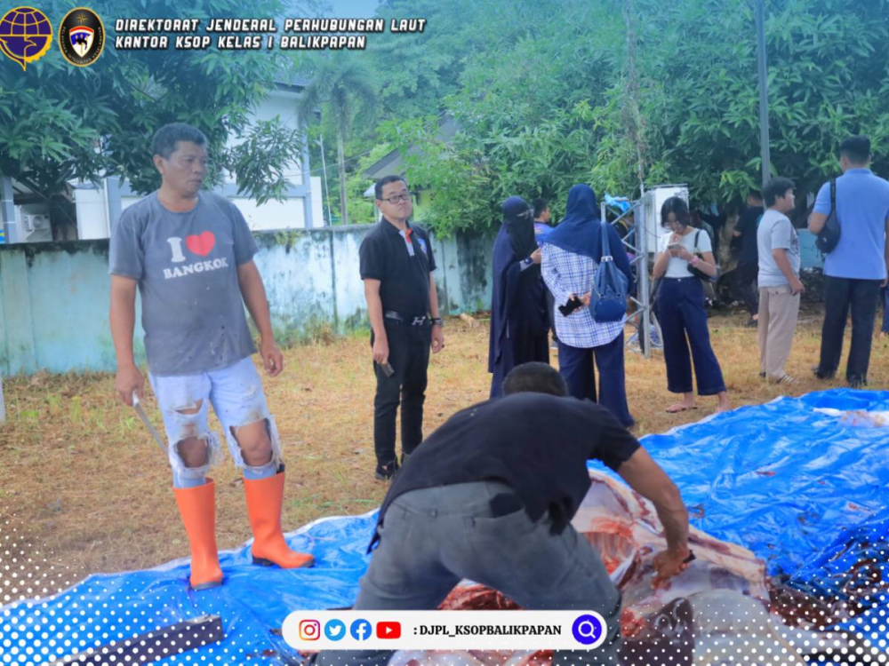 Bagikan Hewan Qurban Ke Masyarakat