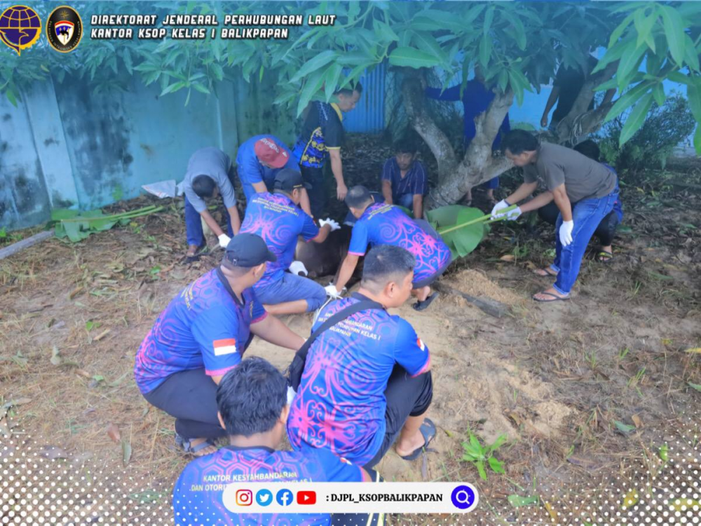 Bagikan Hewan Qurban Ke Masyarakat