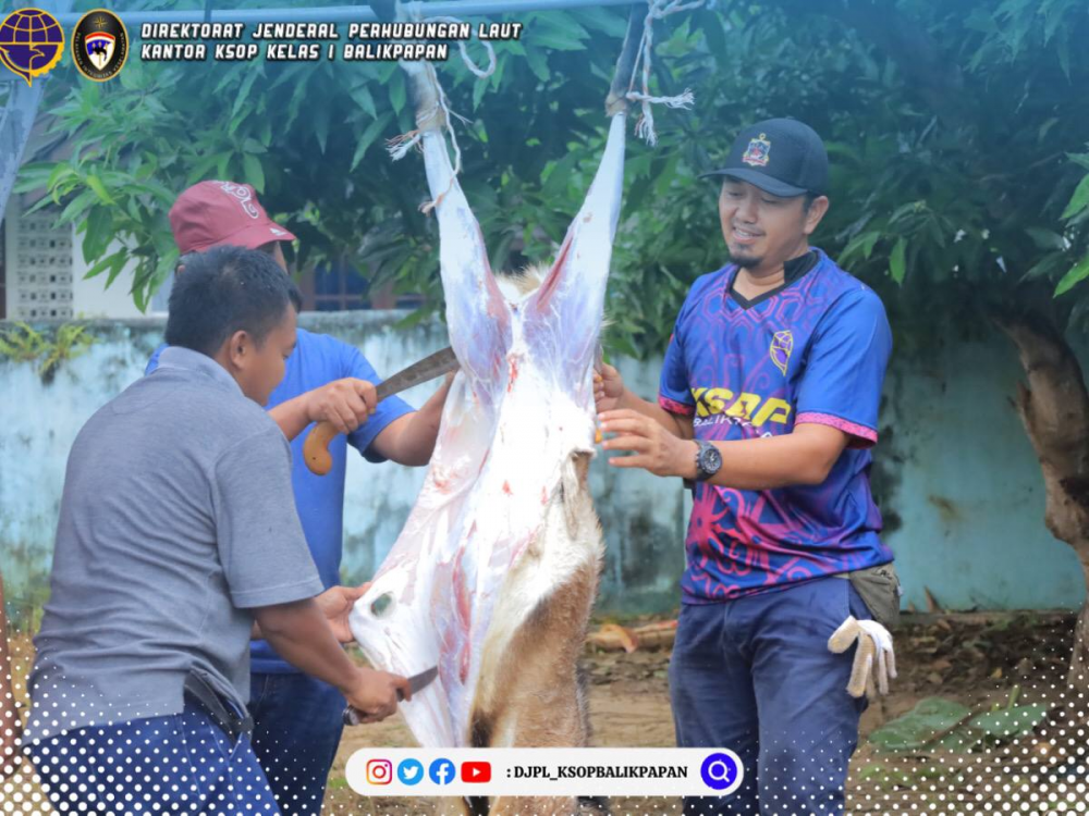 Bagikan Hewan Qurban Ke Masyarakat