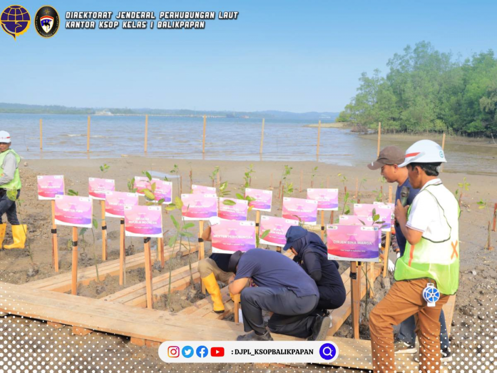 Kepala KSOP Dampingi Menhub Tanam Pohon Mangrove