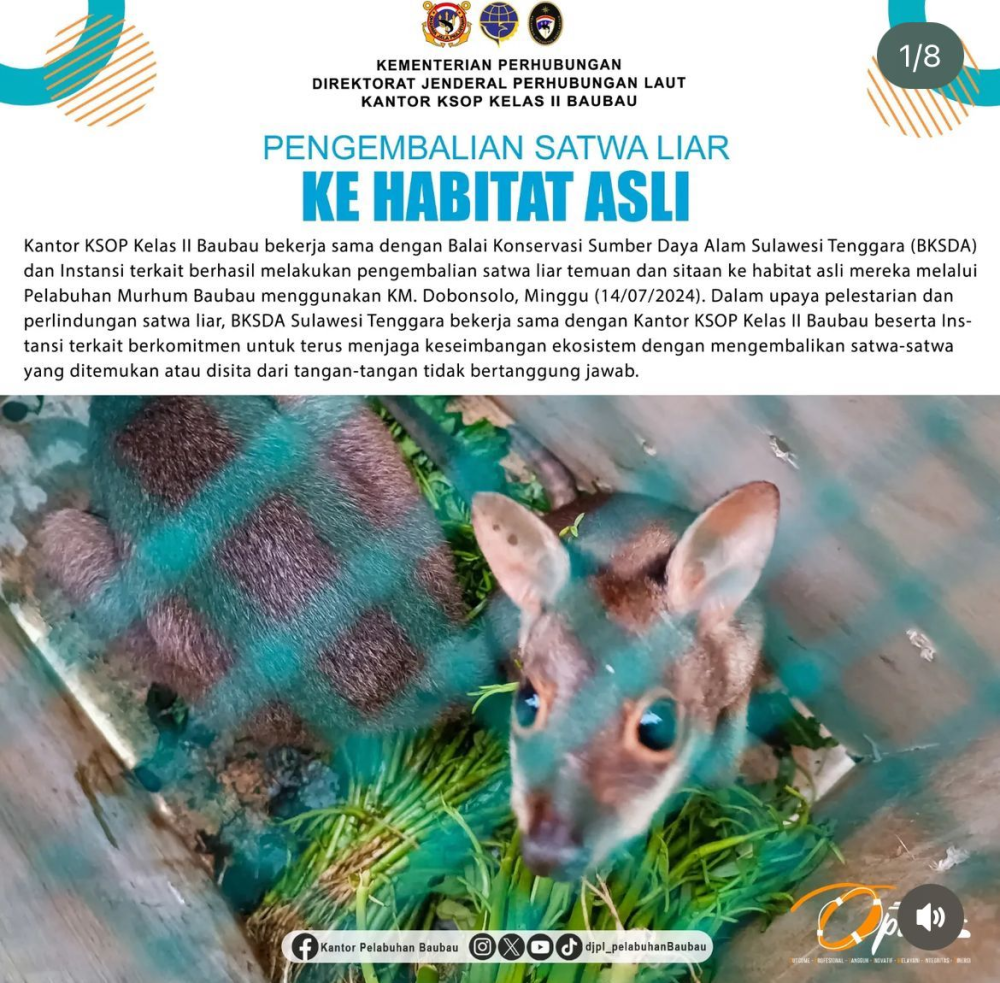 Pengembalian Satwa Liar ke Habitat Asli