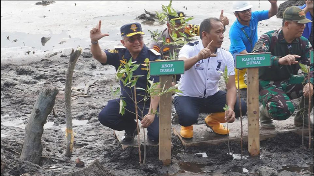 PENANAMAN 2000 MANGROVE UNTUK DUMAI