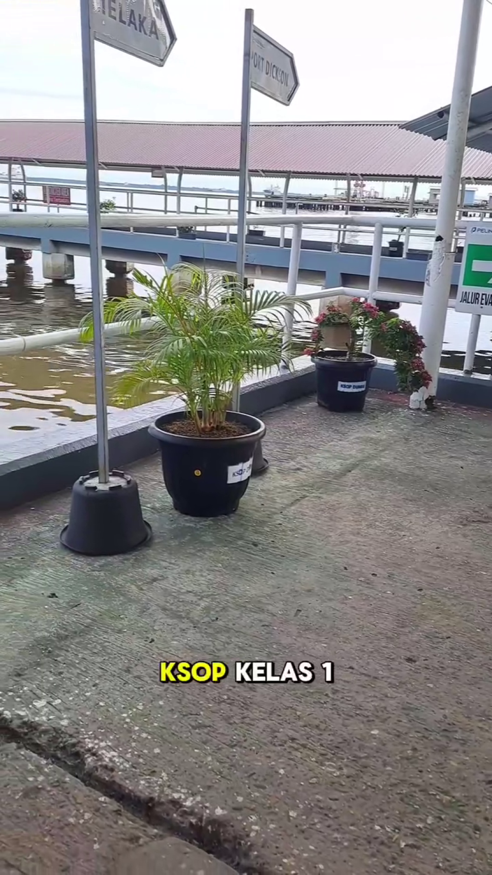 Hijaukan Masa Depan, Mulai dari Dermaga Kita