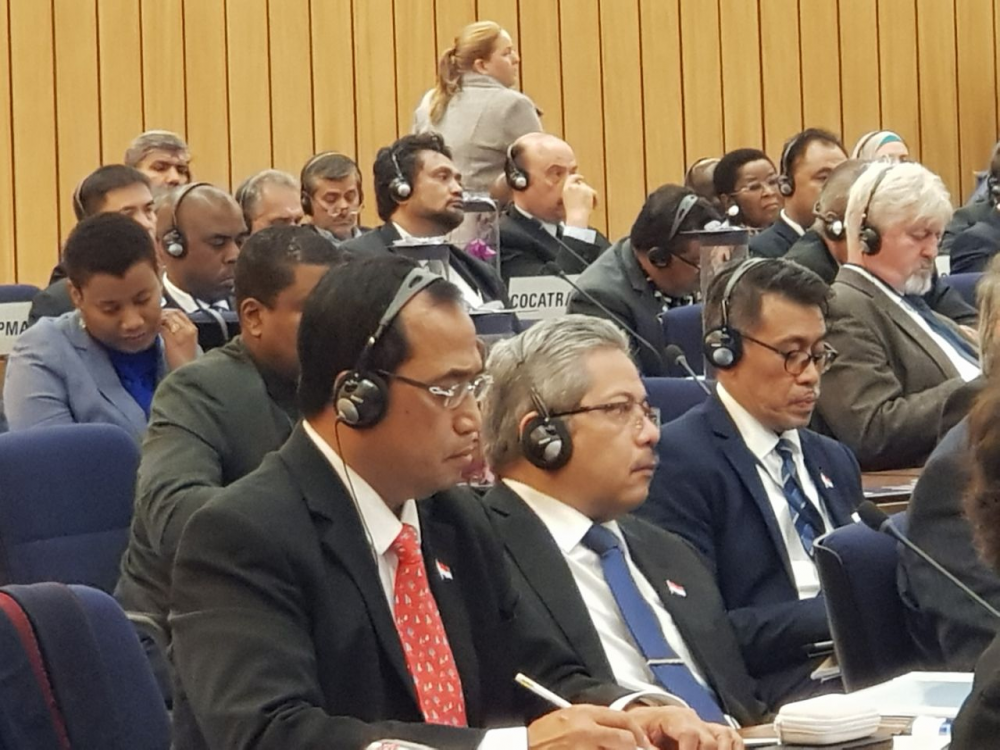 MENHUB HADIRI HOD MEETING BERSAMA PERWAKILAN 172 NEGARA ANGGOTA IMO LAINNYA