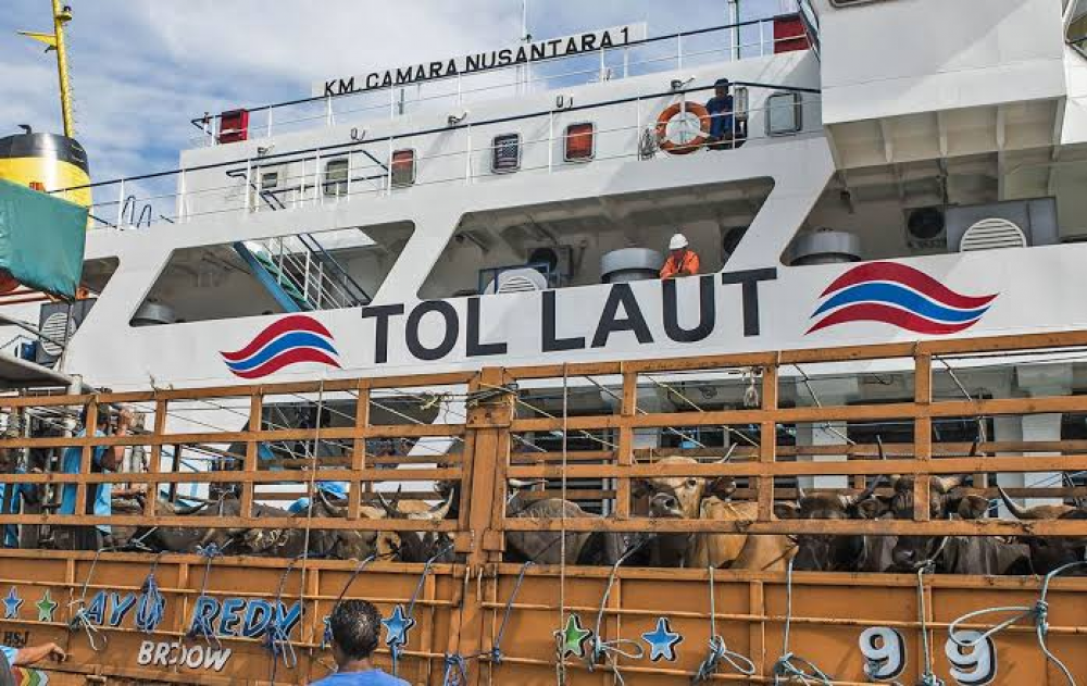 KEMENHUB KERAHKAN ENAM KAPAL TERNAK DUKUNG KEBUTUHAN DAGING SAPI NASIONAL