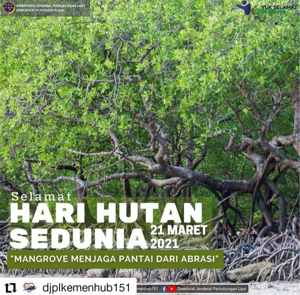 Selamat Hari Hutan Sedunia.