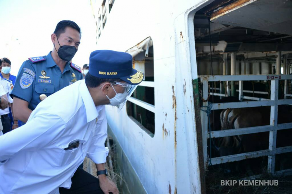 MENHUB CEK KONDISI INFRASTRUKTUR TRANSPORTASI TERDAMPAK BENCANA DI NTT